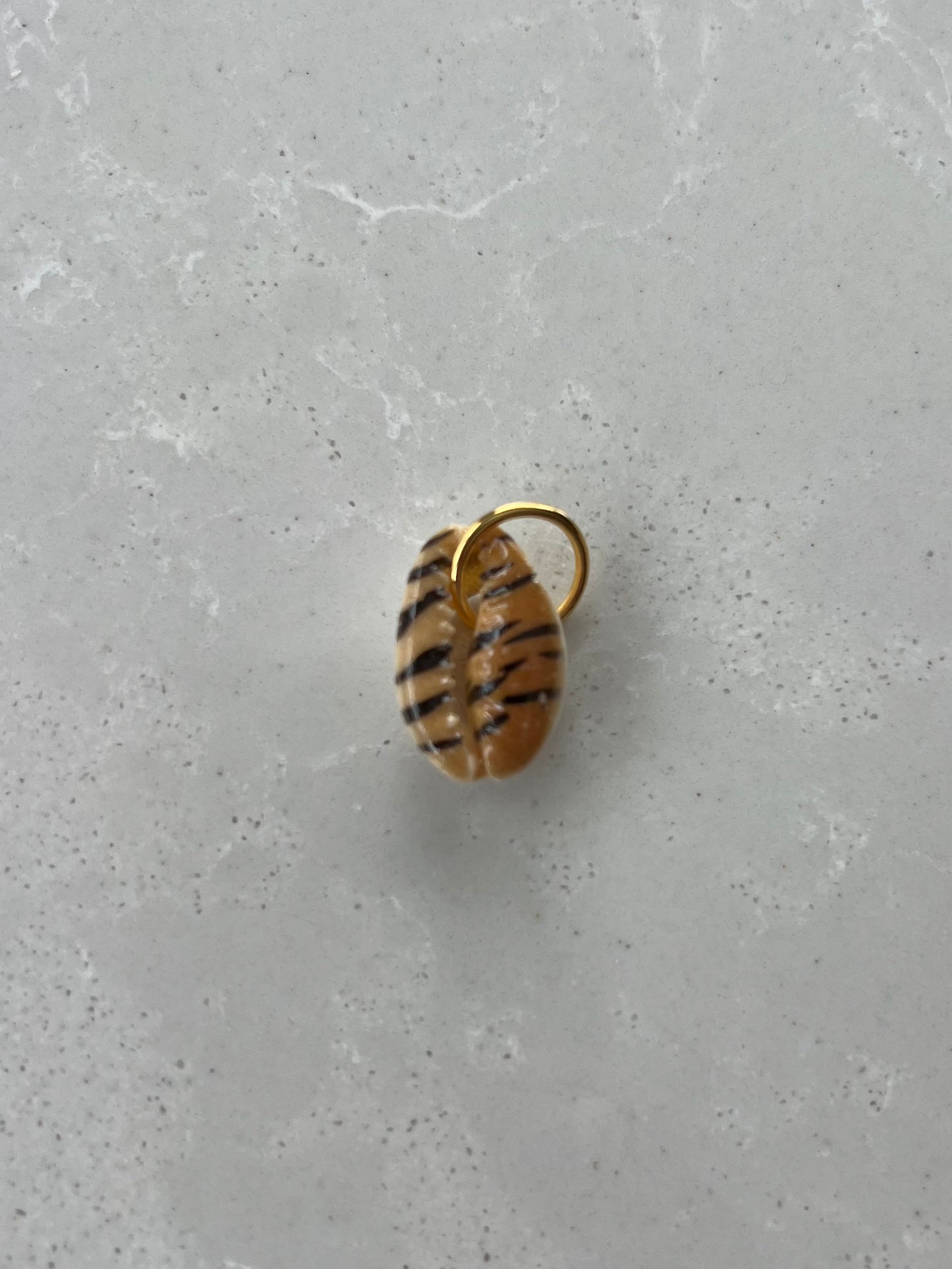 Charm #10